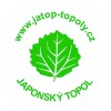 	Japonský topol - řízky a sazenice